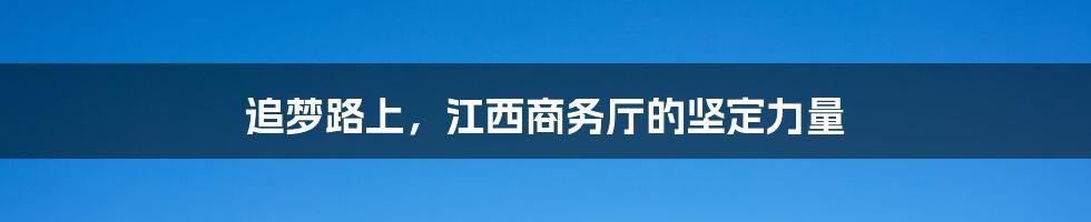 追梦路上，江西商务厅的坚定力量