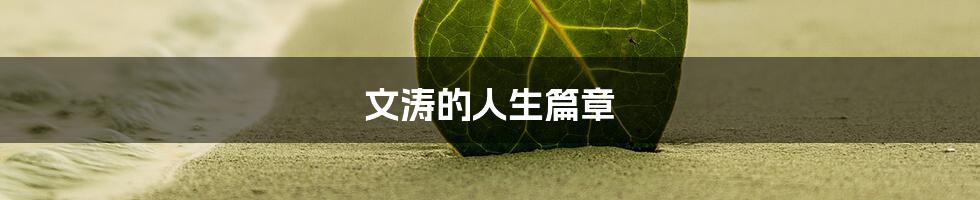 文涛的人生篇章