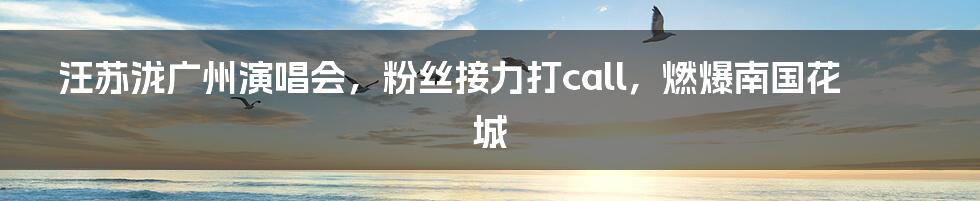 汪苏泷广州演唱会,粉丝接力打call,燃爆南国花城