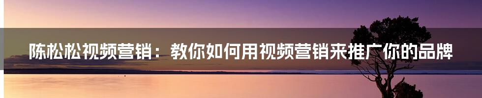 陈松松视频营销：教你如何用视频营销来推广你的品牌