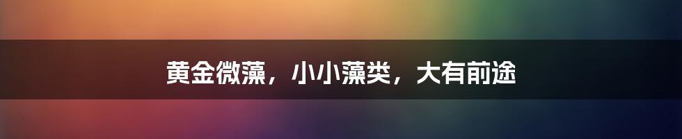 黄金微藻,小小藻类,大有前途