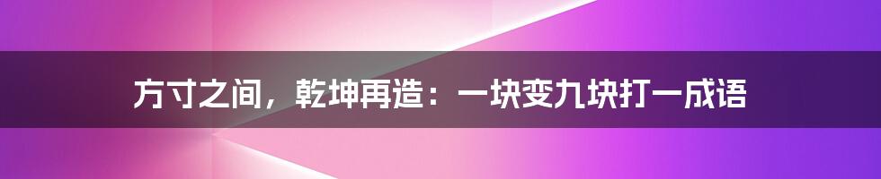 方寸之间，乾坤再造：一块变九块打一成语