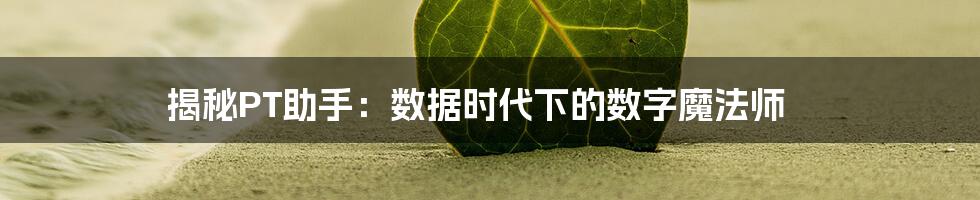 揭秘PT助手:数据时代下的数字魔法师
