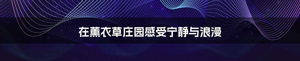 在薰衣草庄园感受宁静与浪漫