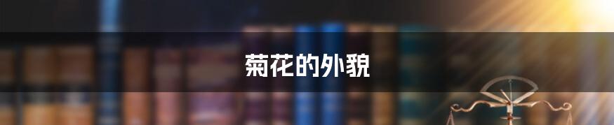菊花的外貌