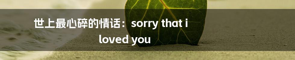 世上最心碎的情话:sorry that i loved you