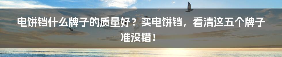 电饼铛什么牌子的质量好？买电饼铛，看清这五个牌子准没错！