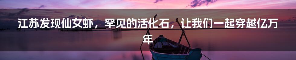 江苏发现仙女虾,罕见的活化石,让我们一起穿越亿万年