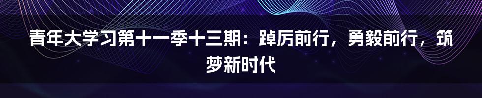 青年大学习第十一季十三期：踔厉前行，勇毅前行，筑梦新时代