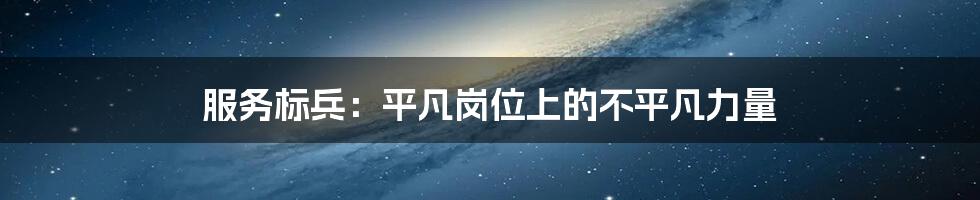 服务标兵:平凡岗位上的不平凡力量