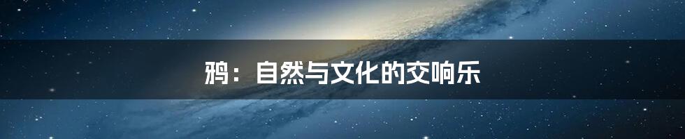 鸦:自然与文化的交响乐
