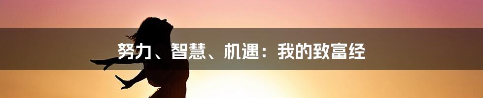 努力、智慧、机遇：我的致富经