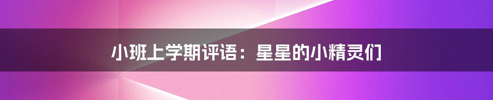 小班上学期评语:星星的小精灵们