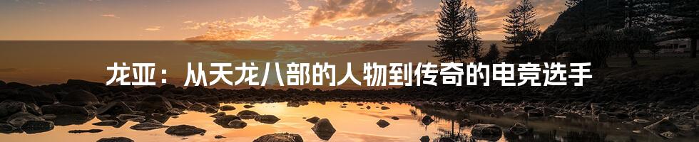 龙亚:从天龙八部的人物到传奇的电竞选手