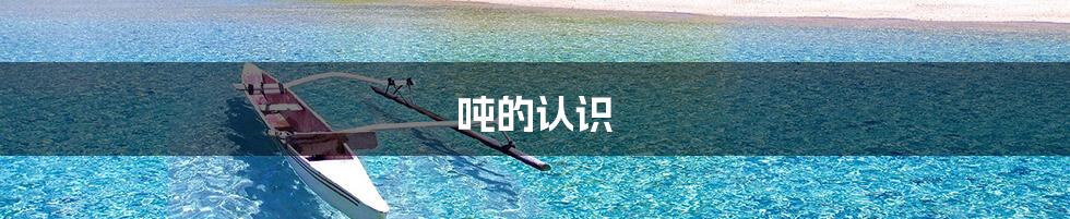 吨的认识