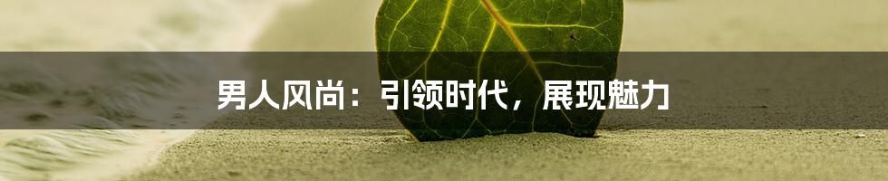 男人风尚:引领时代,展现魅力