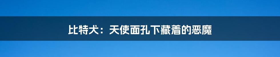 比特犬:天使面孔下藏着的恶魔