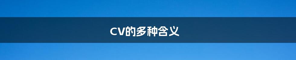 CV的多种含义