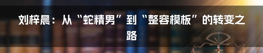 刘梓晨:从“蛇精男”到“整容模板”的转变之路