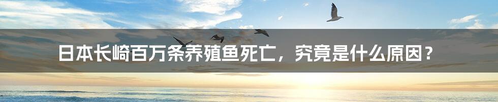 日本长崎百万条养殖鱼死亡,究竟是什么原因?