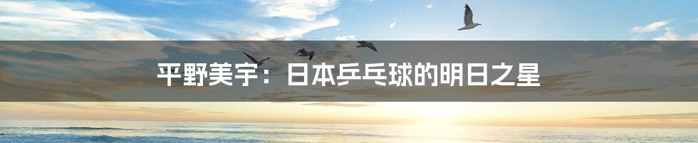 平野美宇:日本乒乓球的明日之星