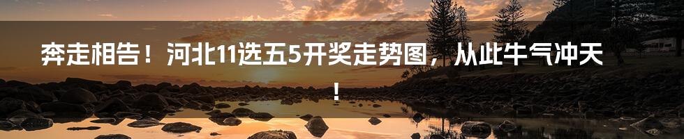 奔走相告!河北11选五5开奖走势图,从此牛气冲天!