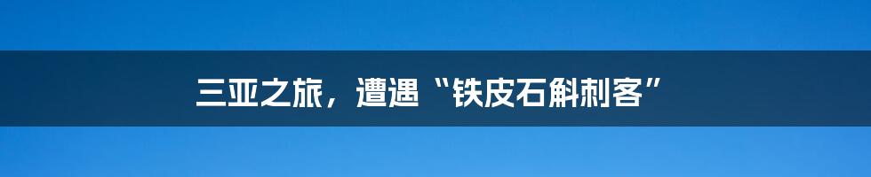 三亚之旅，遭遇“铁皮石斛刺客”