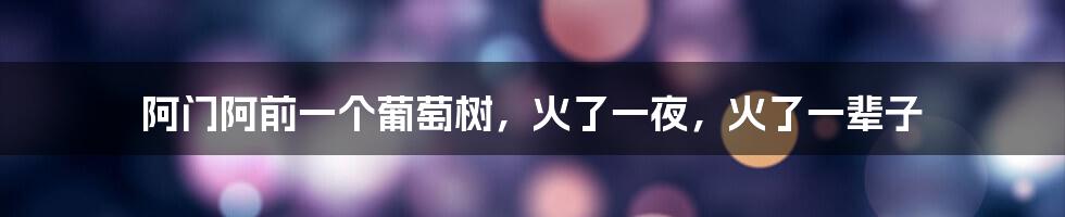阿门阿前一个葡萄树，火了一夜，火了一辈子