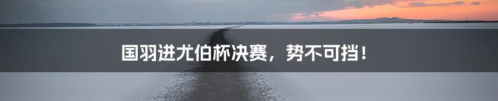 国羽进尤伯杯决赛,势不可挡!