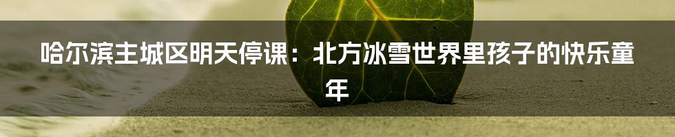 哈尔滨主城区明天停课:北方冰雪世界里孩子的快乐童年