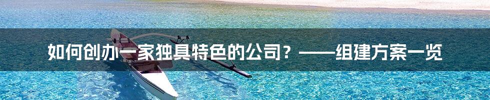 如何创办一家独具特色的公司?——组建方案一览