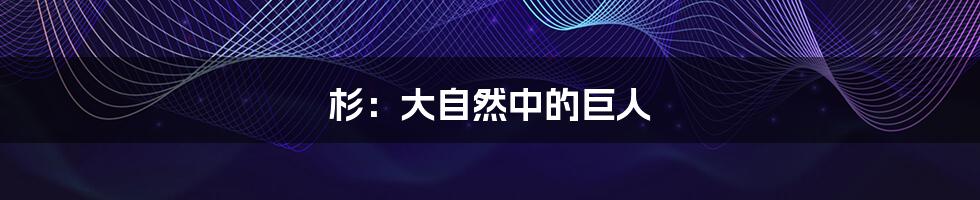 杉:大自然中的巨人