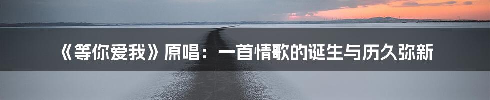 《等你爱我》原唱：一首情歌的诞生与历久弥新