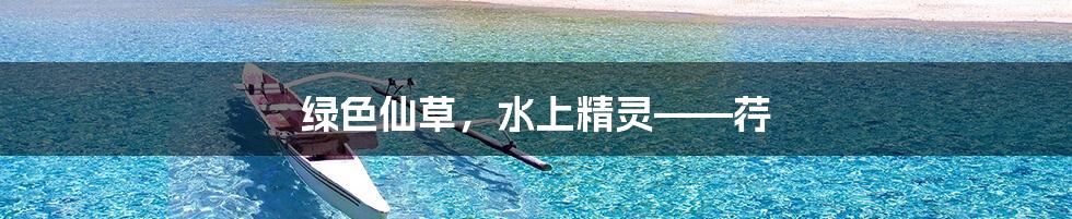 绿色仙草,水上精灵——荇