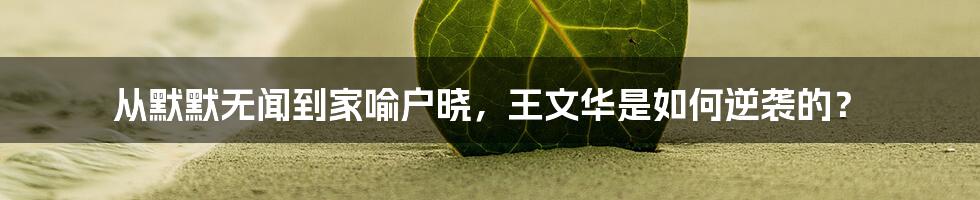 从默默无闻到家喻户晓,王文华是如何逆袭的?