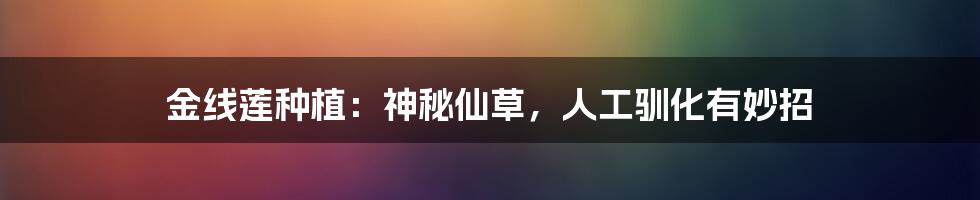 金线莲种植:神秘仙草,人工驯化有妙招