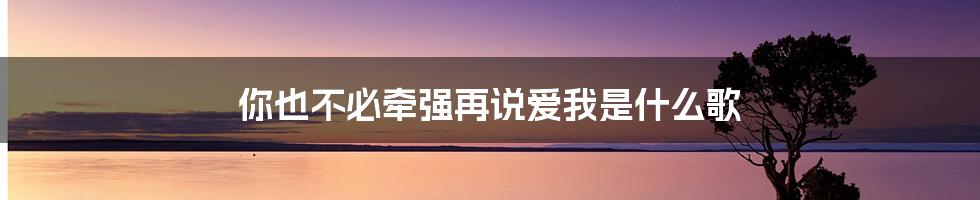 你也不必牵强再说爱我是什么歌