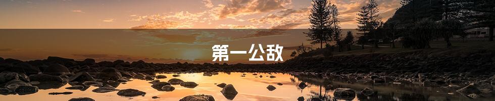 第一公敌