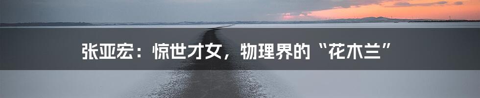 张亚宏:惊世才女,物理界的“花木兰”