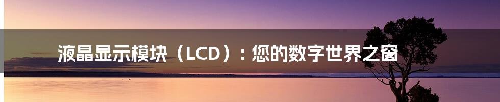 液晶显示模块（LCD）: 您的数字世界之窗