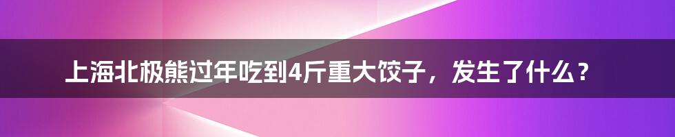 上海北极熊过年吃到4斤重大饺子，发生了什么？