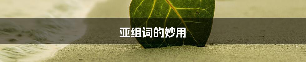亚组词的妙用
