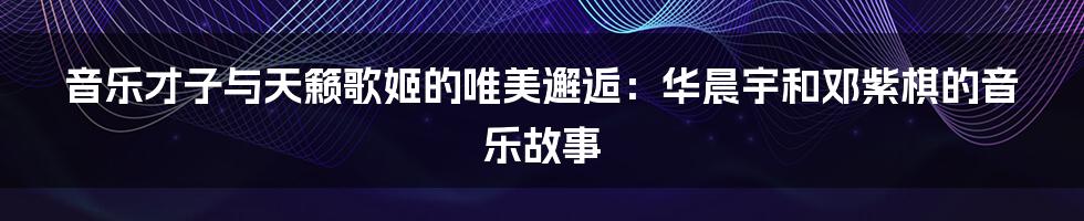 音乐才子与天籁歌姬的唯美邂逅：华晨宇和邓紫棋的音乐故事