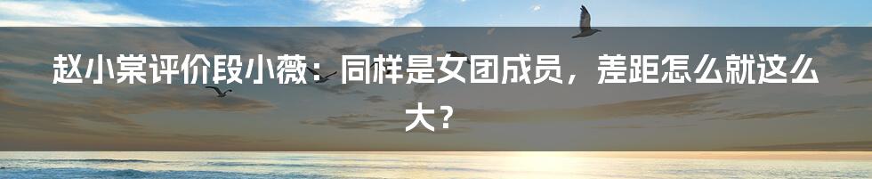 赵小棠评价段小薇:同样是女团成员,差距怎么就这么大?