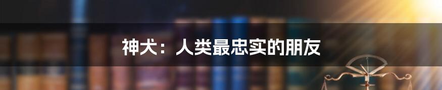 神犬：人类最忠实的朋友