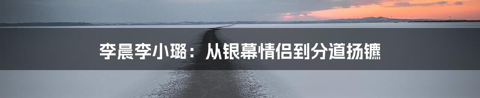 李晨李小璐:从银幕情侣到分道扬镳