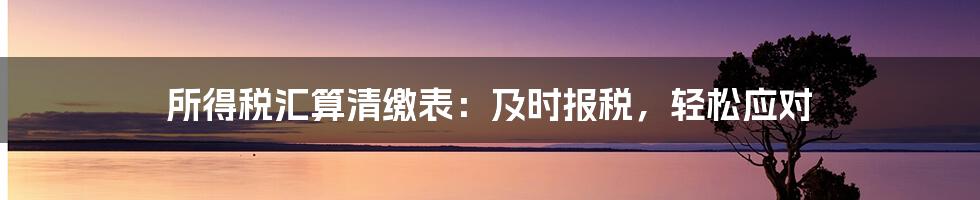 所得税汇算清缴表：及时报税，轻松应对