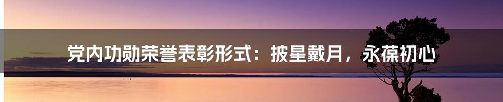 党内功勋荣誉表彰形式：披星戴月，永葆初心