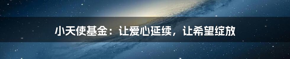 小天使基金：让爱心延续，让希望绽放