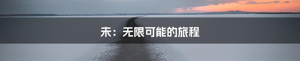 未：无限可能的旅程